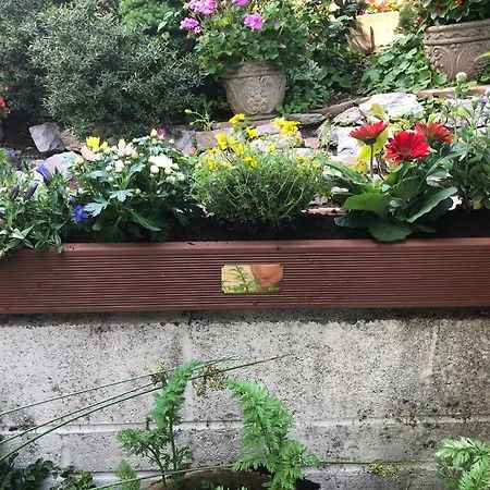 Bumble Bee Cottage Plymouth Dış mekan fotoğraf