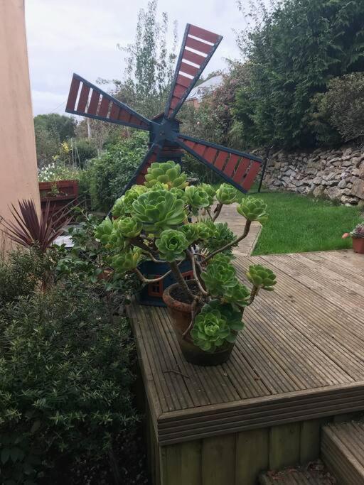 Bumble Bee Cottage Plymouth Dış mekan fotoğraf