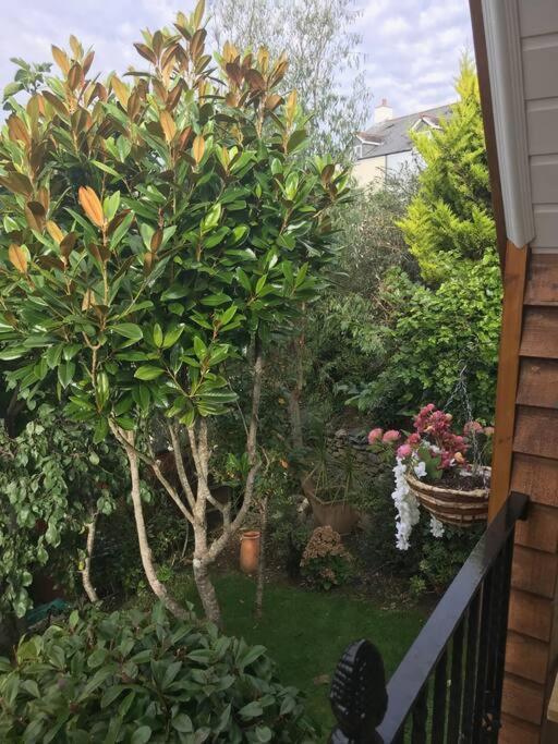 Bumble Bee Cottage Plymouth Dış mekan fotoğraf