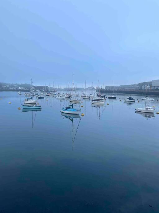Bumble Bee Cottage Plymouth Dış mekan fotoğraf
