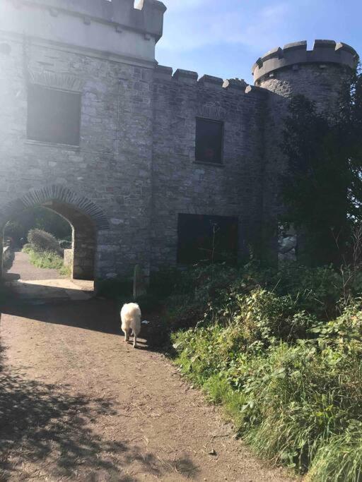 Bumble Bee Cottage Plymouth Dış mekan fotoğraf