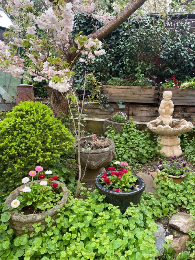 Bumble Bee Cottage Plymouth Dış mekan fotoğraf